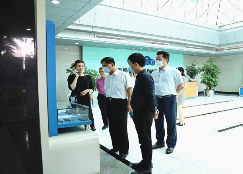 市委常委楊洪一行來我司走訪調研 - 1162
